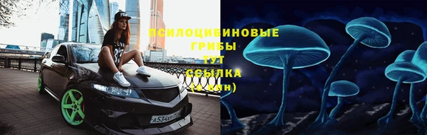 соль ск Алексин