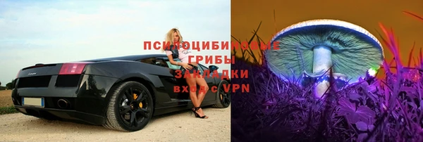 ECSTASY Магадан
