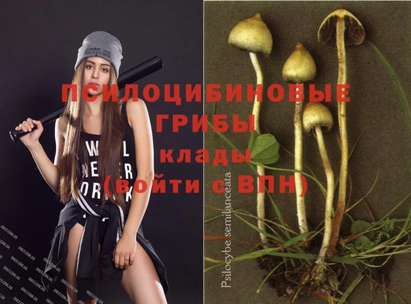 соль ск Алексин