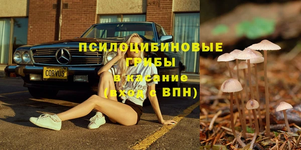 соль ск Алексин