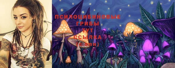 соль ск Алексин