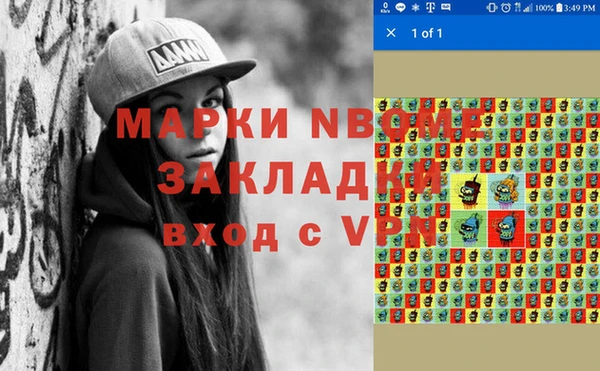 соль ск Алексин